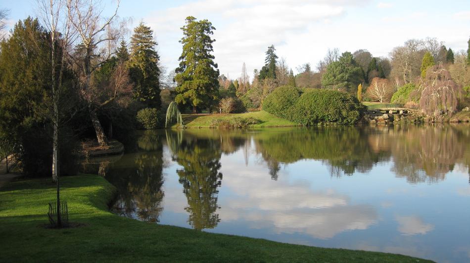 Water Nature Lake