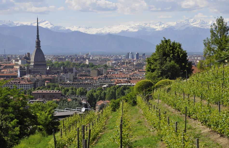 Torino Mole Landscape