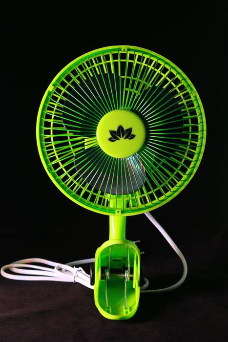 Team green Fan