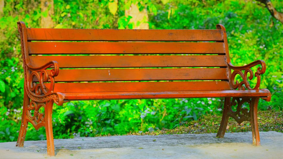 Bench Wood Nature