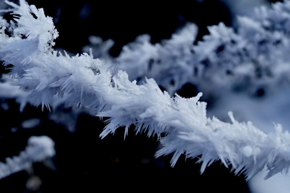 Frost Winter Icing