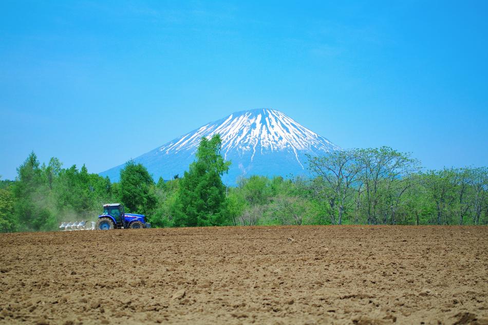 Hokkaido Niseko Earth