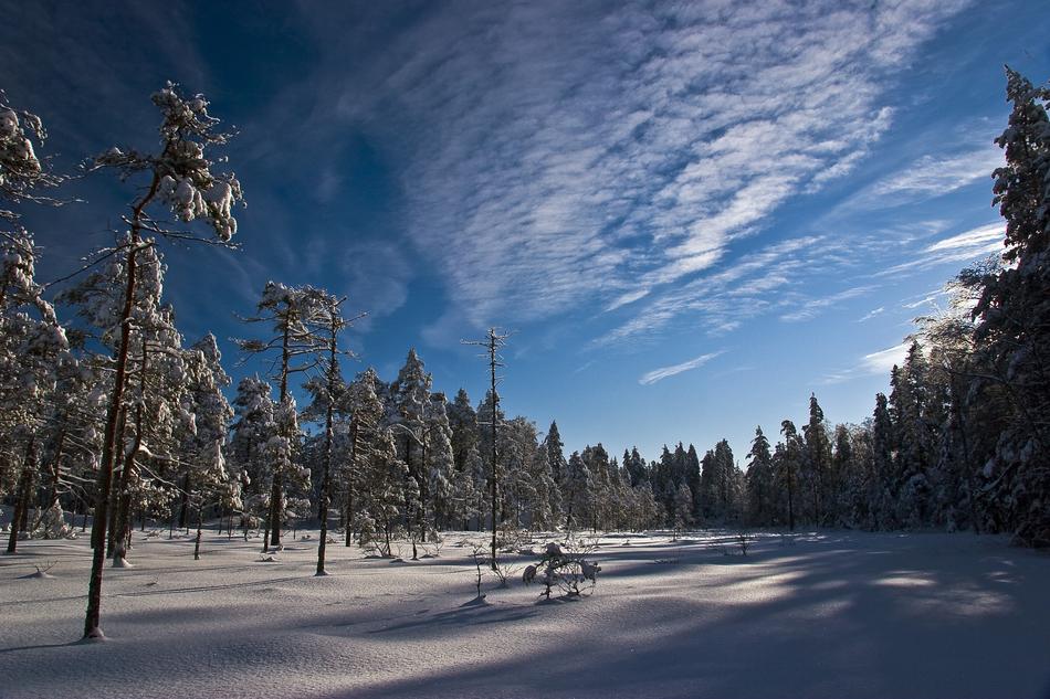 Snow The Nature Of