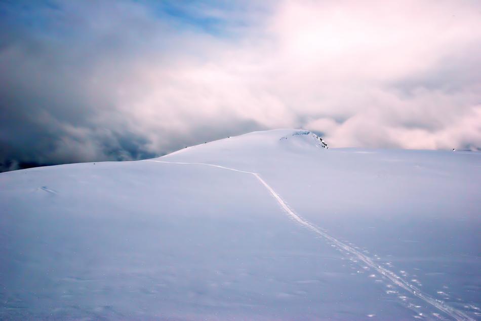 Snow Winter Landscape The Nature