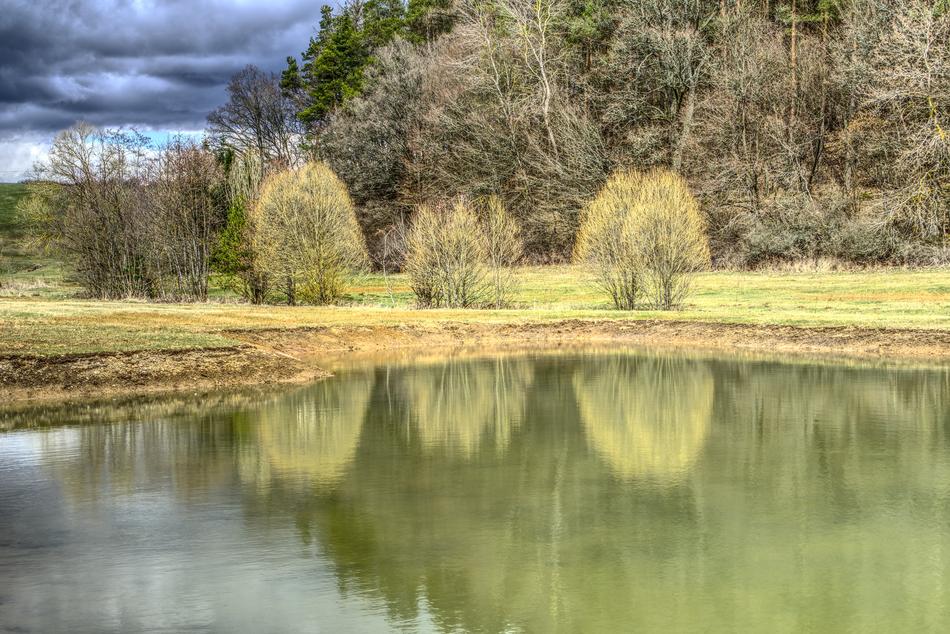 Nature Waters Reflection