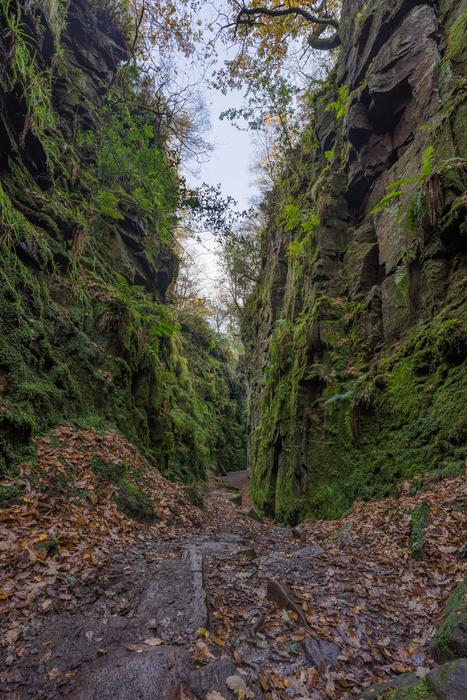 Lud'S Church Natural Chasm
