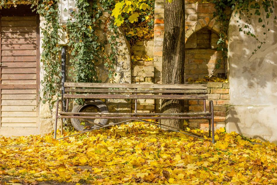 Autumn Mood
