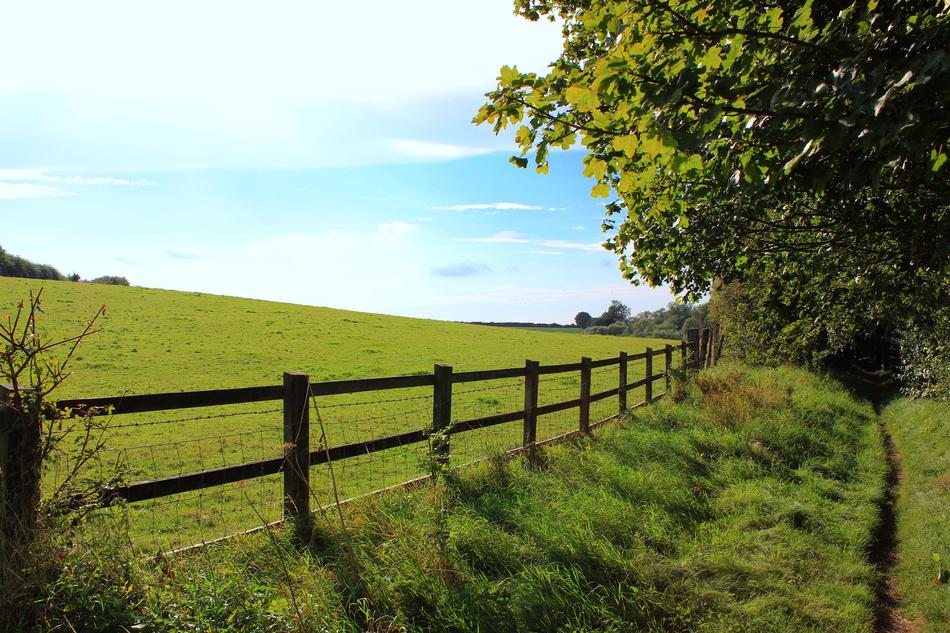 Fence Landscape Nature