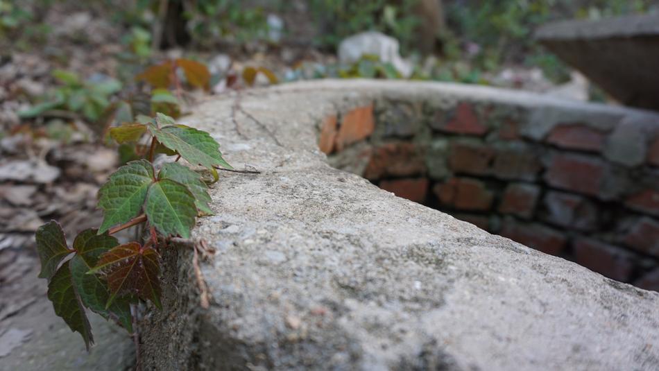 Nature Leaf Stone