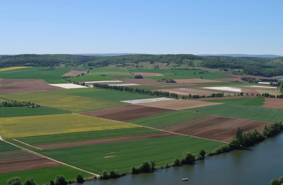 Agriculture Fields Color