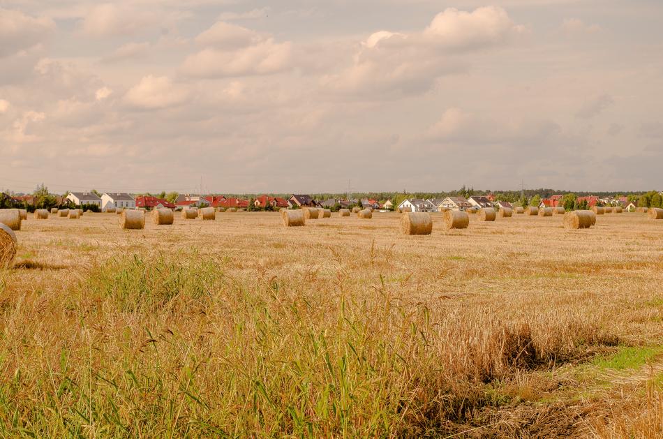 Field Farm Hay