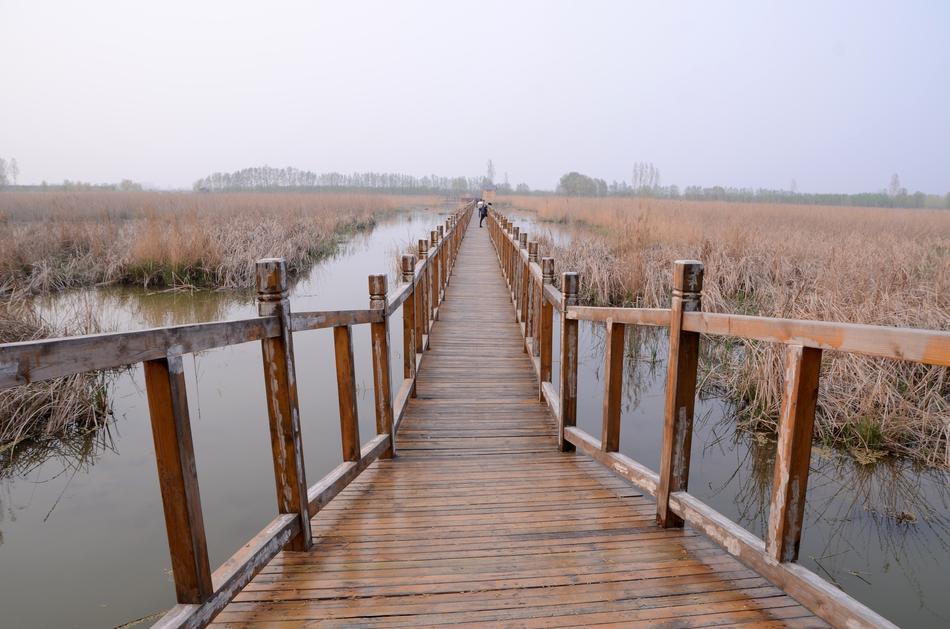 Nature Bridge Waters
