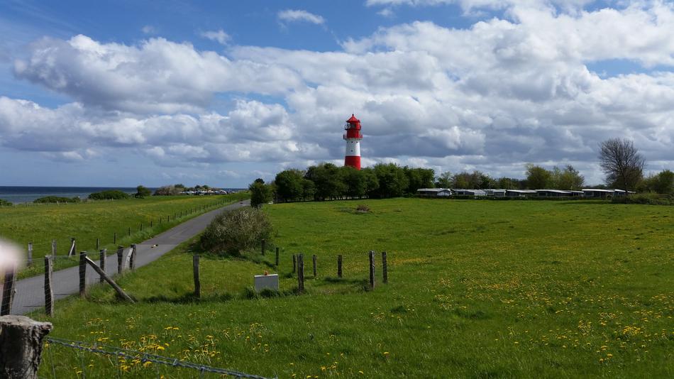 lighthouse in the trees with a field
