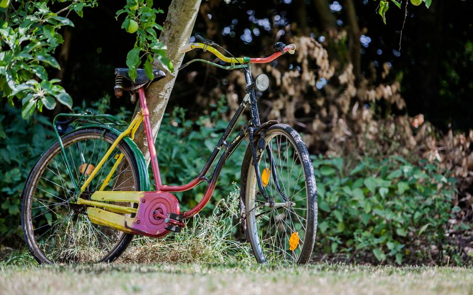 Bike Colorful Garden