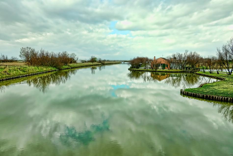 Waters Nature Reflection