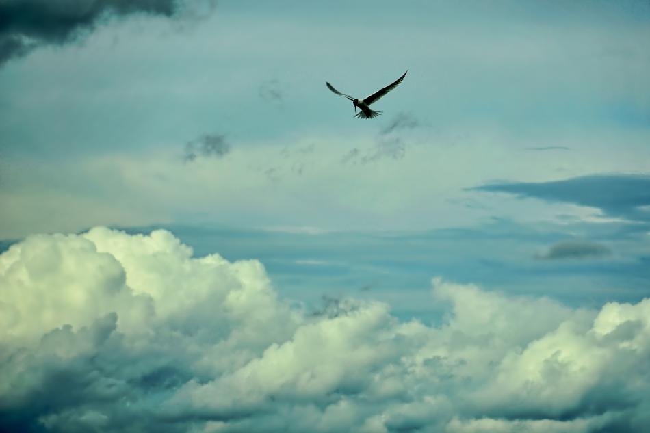 Sky Nature Cloud