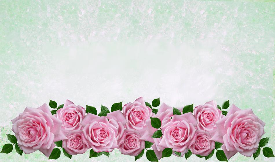 Greeting Card Rose Flower