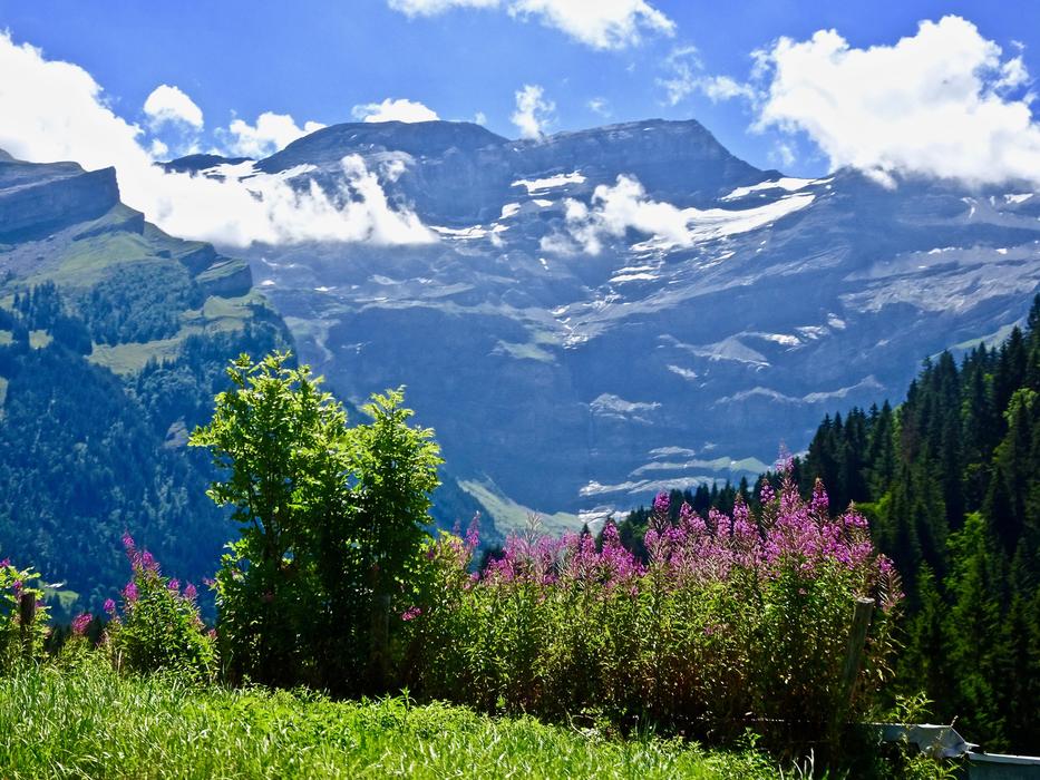 View Mountain Nature
