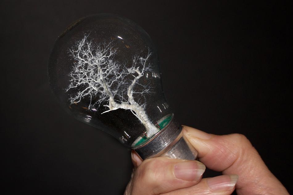 a light bulb with a tree in the hands of a man