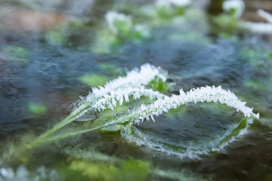 Frost Ice Eiskristalle