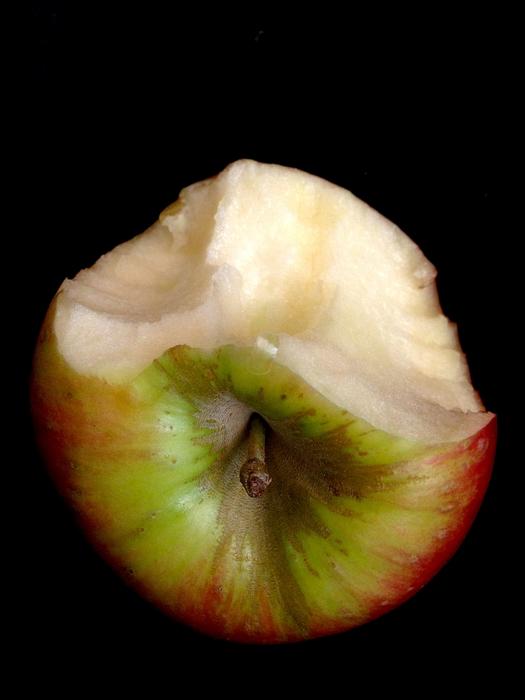 bitten apple fresh