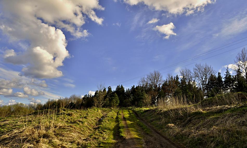 Nature Panoramic Sky