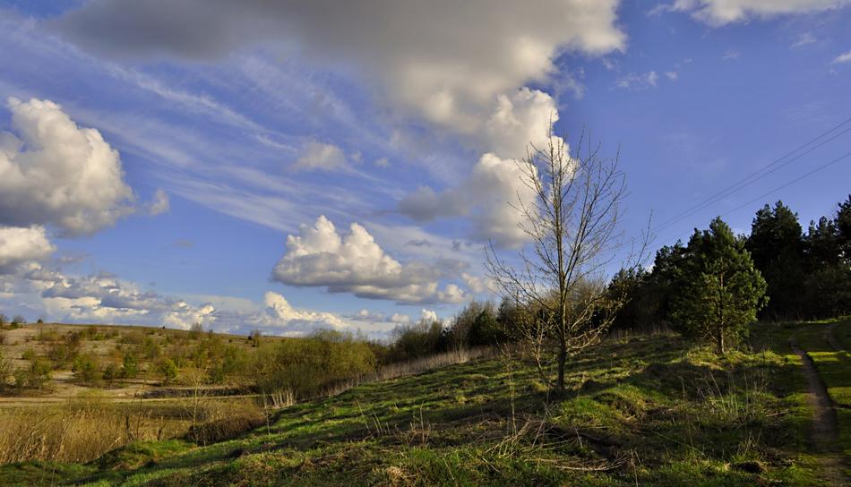 Nature Panoramic Sky