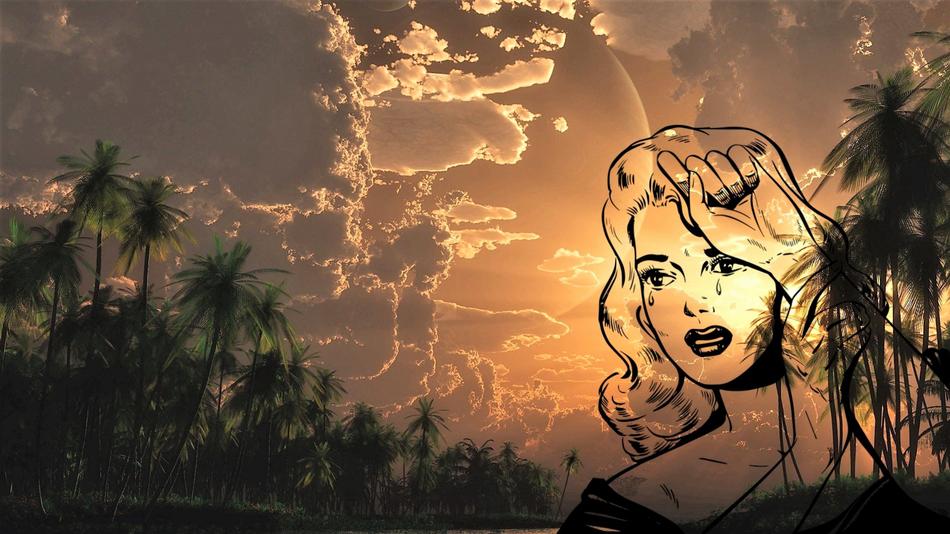 Nature Sun Sunset