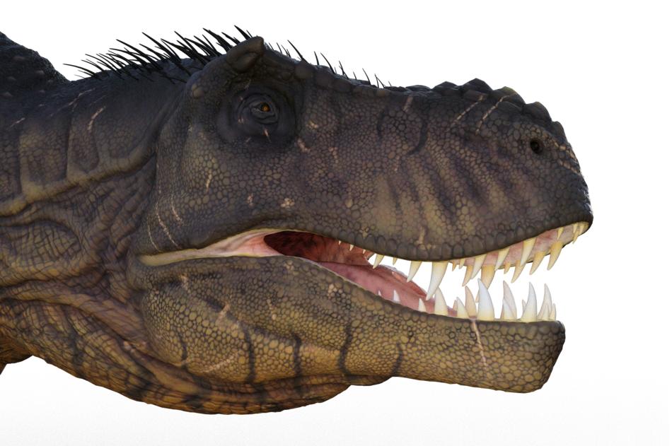 tyrant saurian prehistoric history