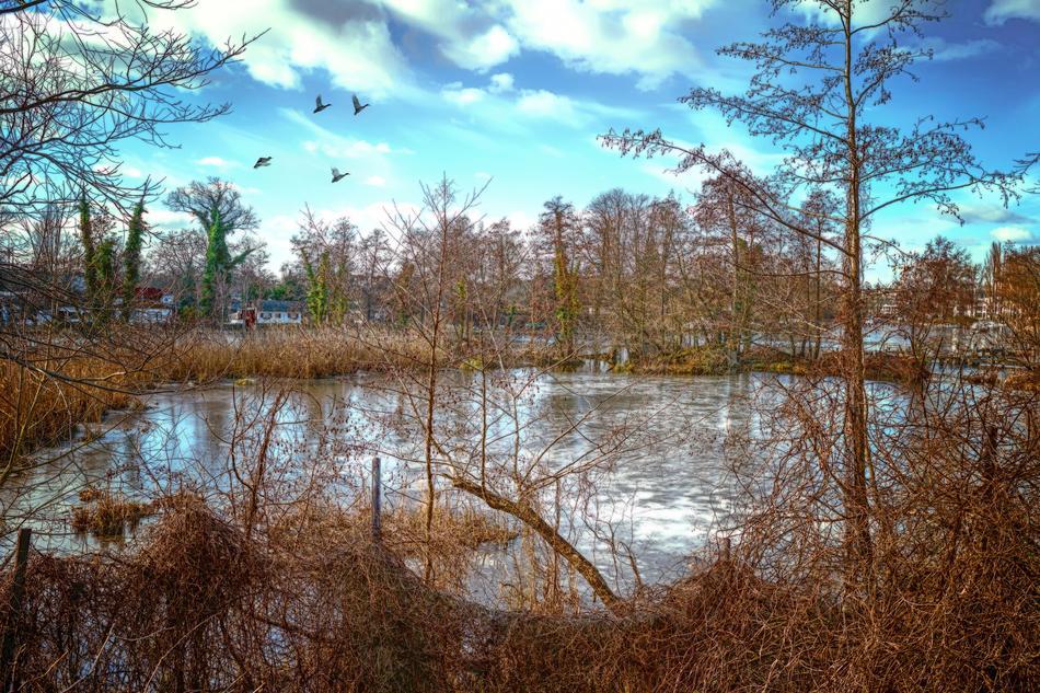 End Of Winter Lake Ice