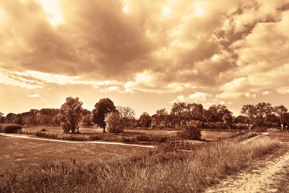 Landscape Dutch Rural