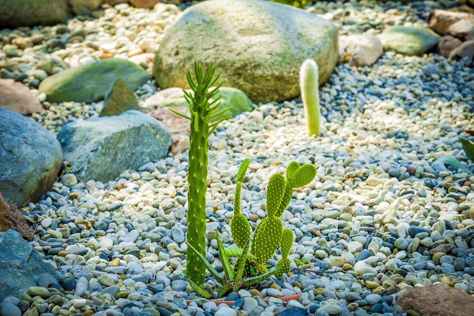 Nature Water Stone