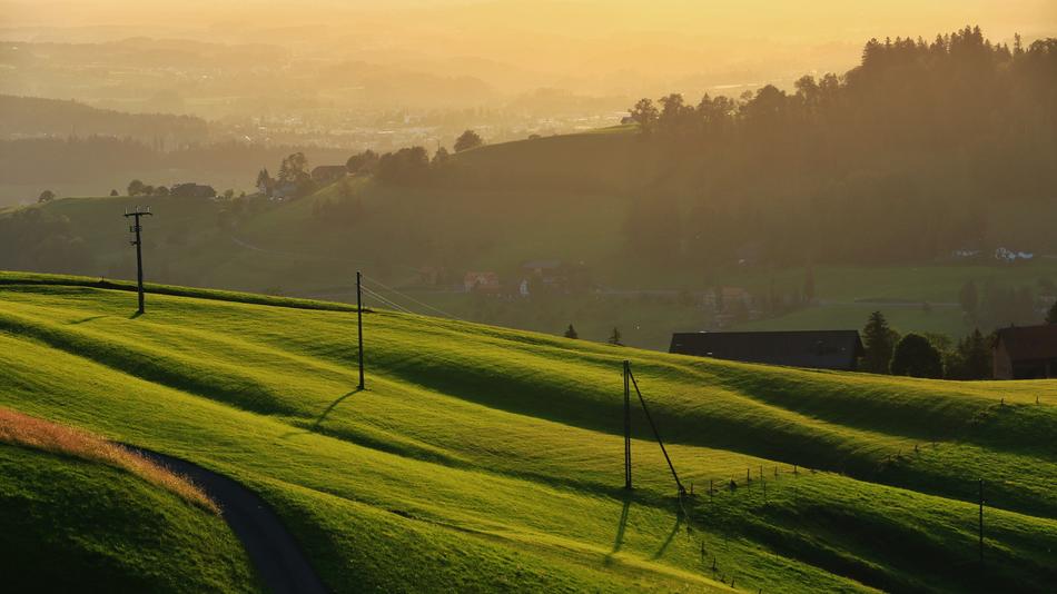 Panorama Agriculture Landscape