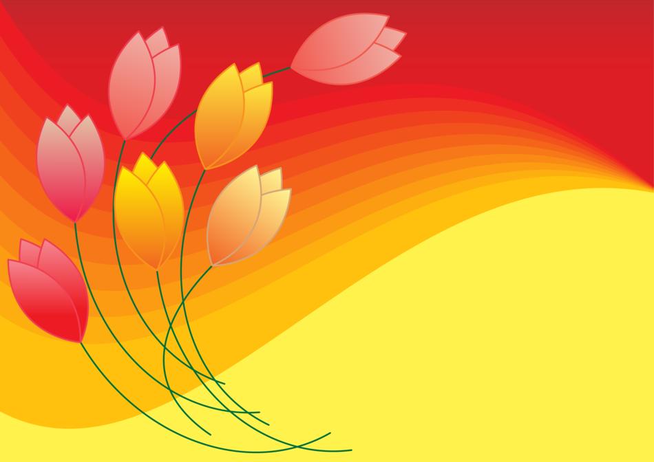 tulip plant flowers flower yellow