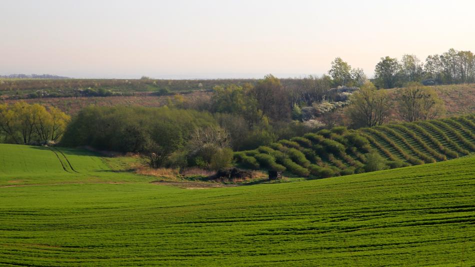 Mati Nature Landscape