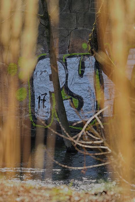 Nature Water Outdoors