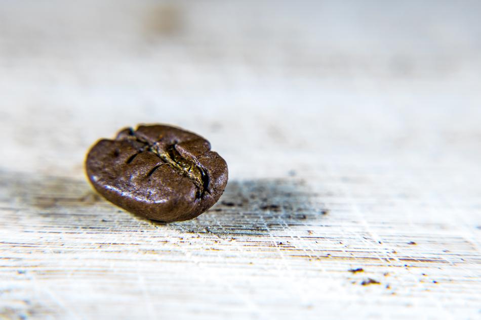 lone coffee bean