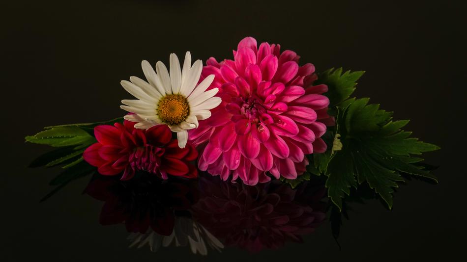 Flower Arrangement Three Flowers