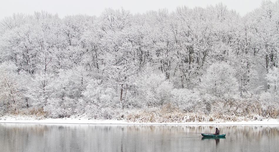 Winter Coldly Nature