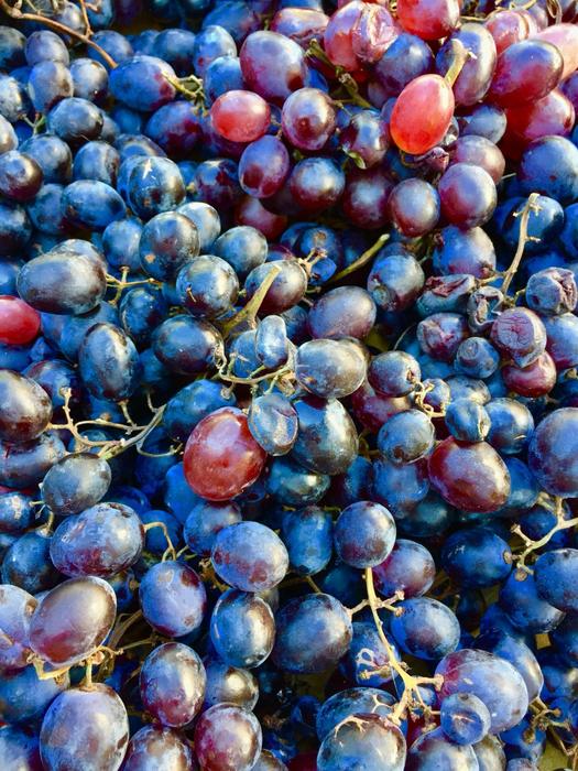 harvest of delicious grapes