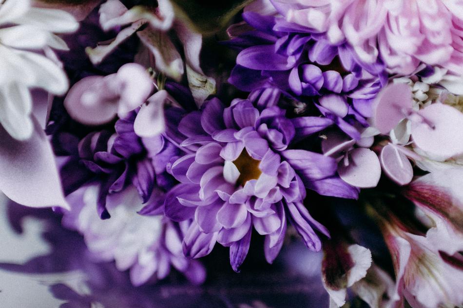 Flower Flora Nature