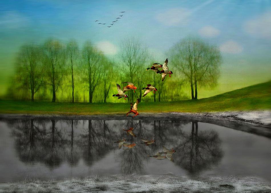 spring stand by dreams reflection