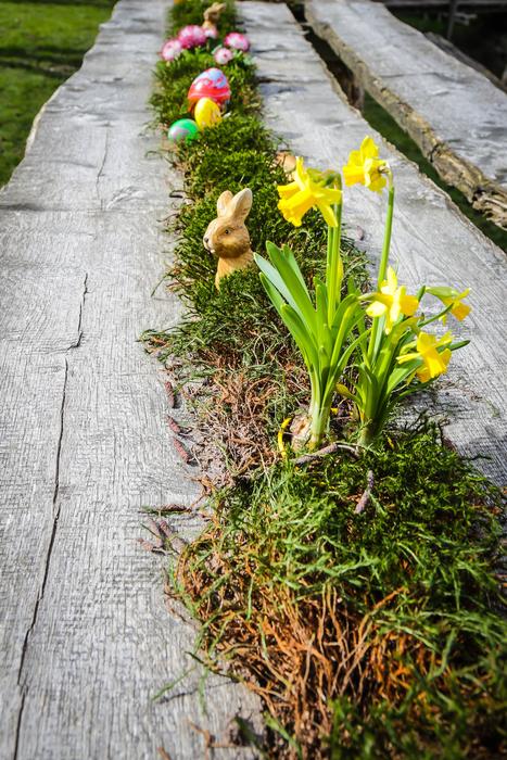 yellow flower in the grass landscape