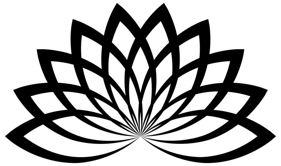 lotus floral flower abstract