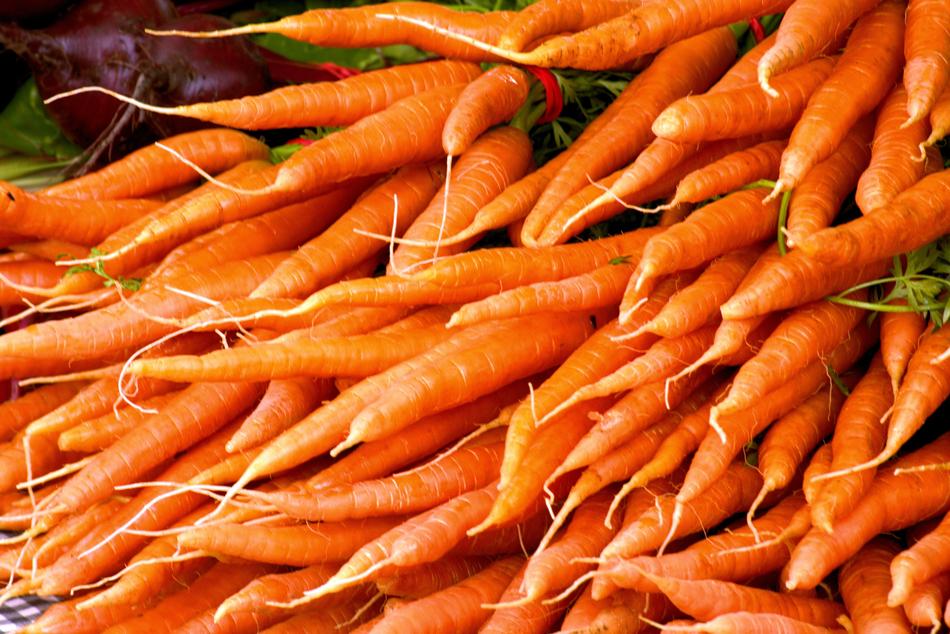 harvest of ripe bright carrots