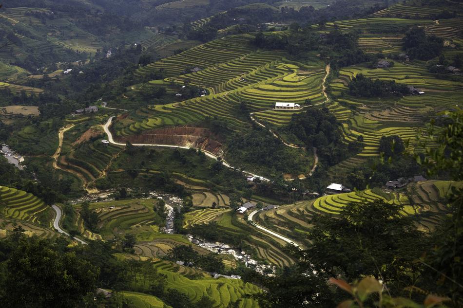 Blind Stretch Comb Lao Cai Yen Bai