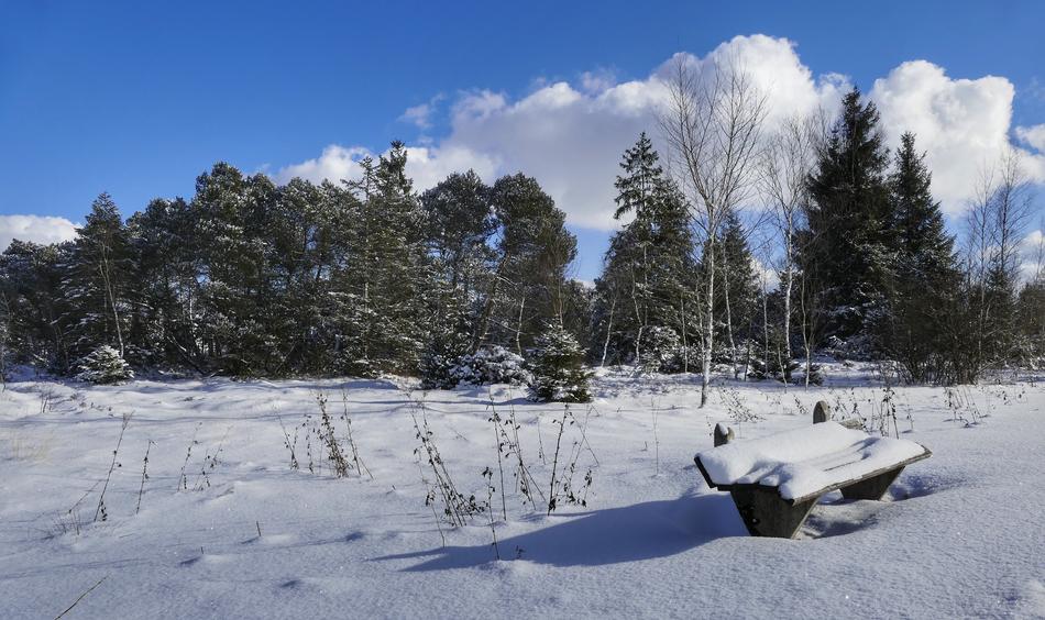 Snow Winter Cold