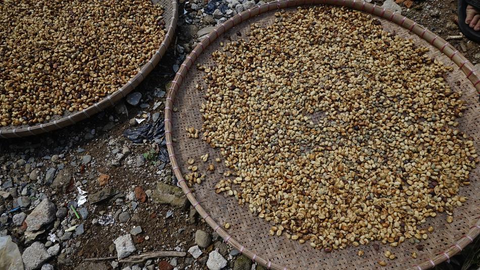 dry beans on a plate