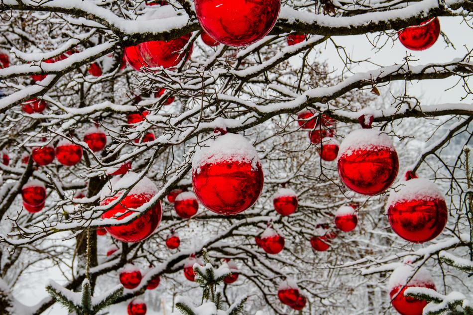 Christmas Winter Tree