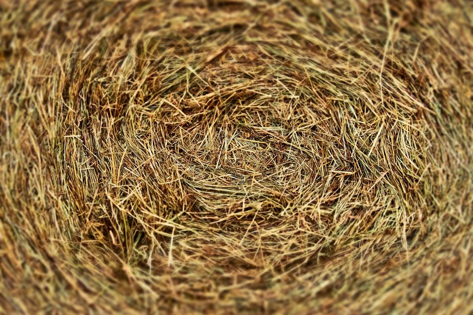 Harvest Field Agriculture